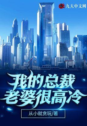 我的总裁老婆 txt
