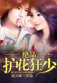 极品护花狂医