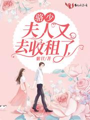 夫人又去收租了