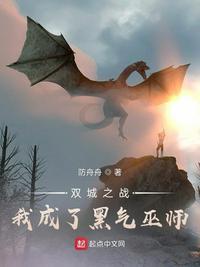 双城之战百度百科