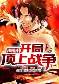 海贼开局从顶上战争