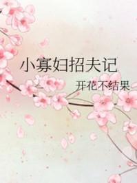 小寡妇招夫记开花不结果无防盗