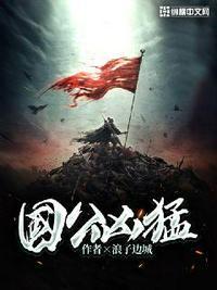 国公凶猛沈傲阅读