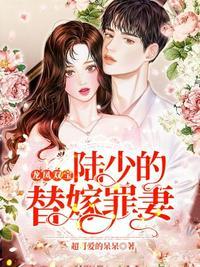 陆少的替嫁宠妻免费阅读