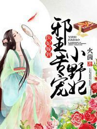 邪王私宠小王妃
