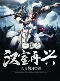 三国之汉室再兴免费读