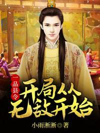 一品县令开局从无敌开始TXT