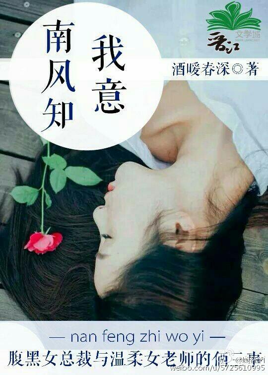 南风知我意电视剧免费观看