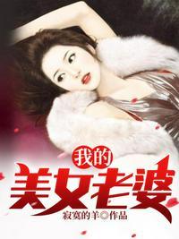 我的美女老婆是总裁