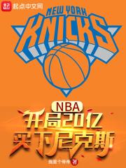 买下尼克斯我是个帝帝