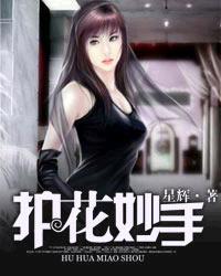 护花妙手 星辉主要内容