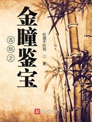古玩之金瞳鉴宝 捡漏不捡钱TXT