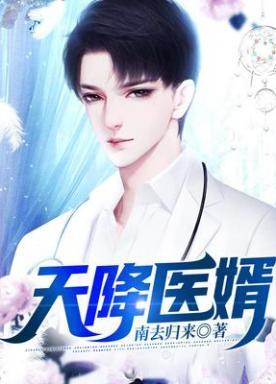 天降医婿TXT全本