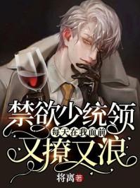 禁欲少统领每天在我面前又撩又浪无弹窗
