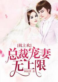 总裁宠妻无上限 胖肉肉