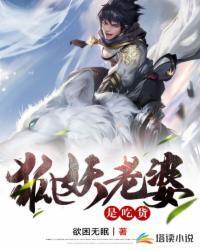 狐妖之我老婆是黑狐娘娘