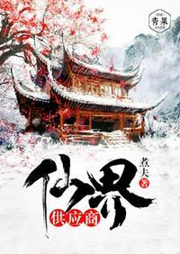 仙界供应商 煮夫TXT