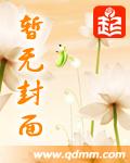 时空倒爷的民国奋斗顶点