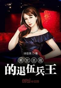 美女总裁的贴身兵王叶枫免费