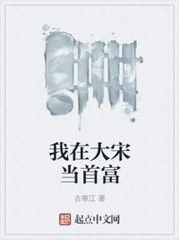 我在大宋当首富游戏