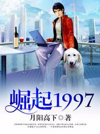 崛起1997入股