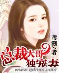 总裁大哥独宠妻完本