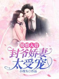 暖妻成瘾封辰安