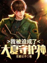 我被迫成了大夏守护神 花都公子