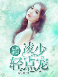 凌少宠妻很强势阅读
