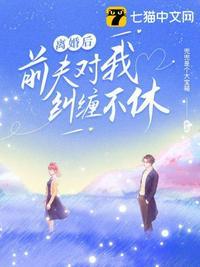 离婚后前夫对我纠缠不休电视剧