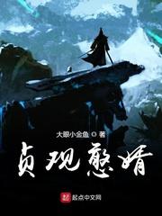 贞观憨婿 百科