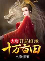 大唐开局继承十万亩田无广告