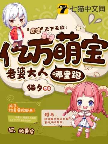 一胎七宝老婆大人哪里跑续读
