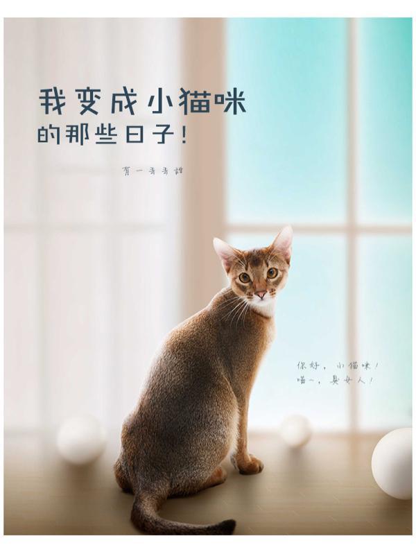 我变成了小猫的作文