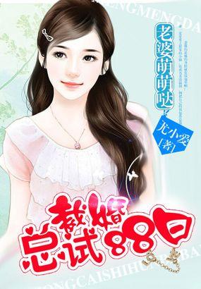 试婚吗免费阅读