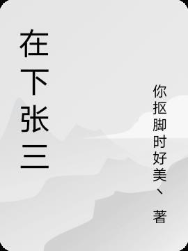 在下张三动画