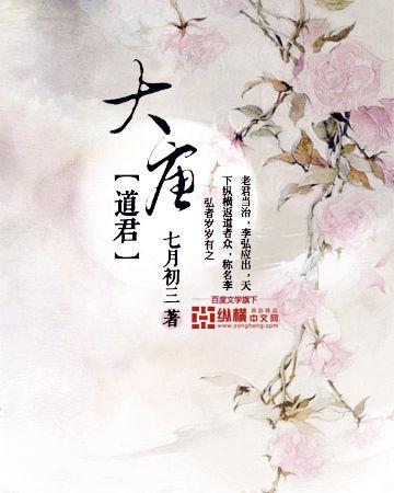 大唐道君好看吗