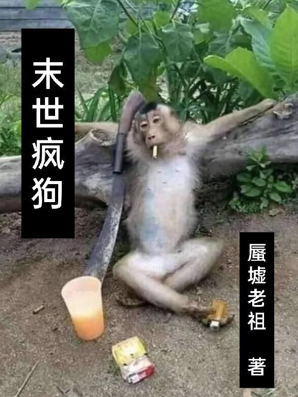 末世疯子类