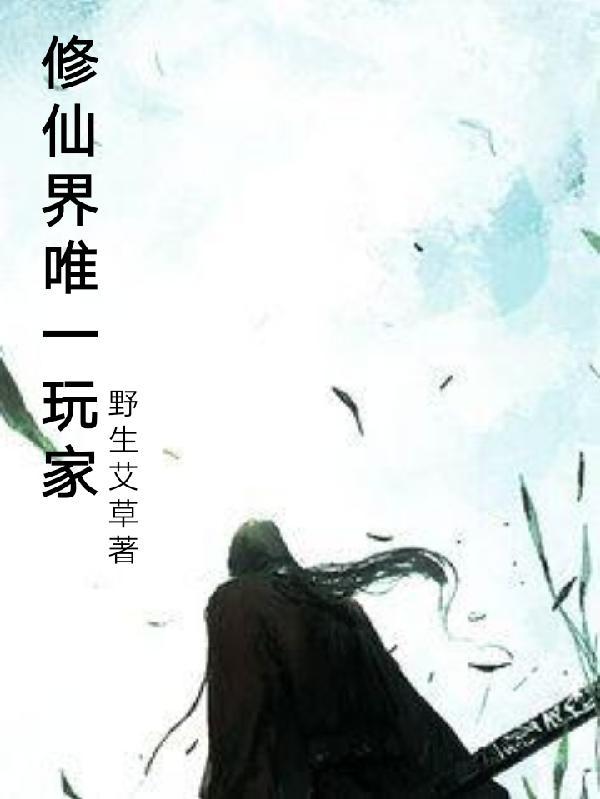 修仙玩家流