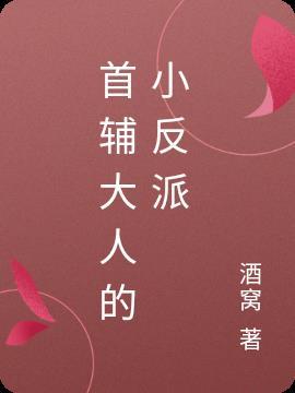 首辅大人
