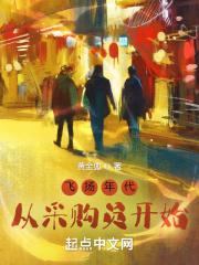 飞扬年代从采购员开始全文免费阅读