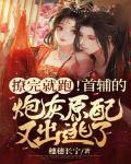 首辅撩妻日常全文若磐