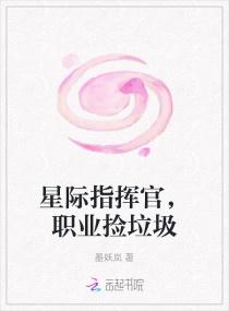 职业捡垃圾txt