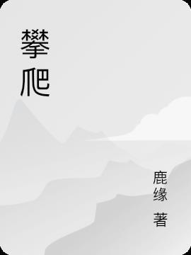 攀爬车推荐