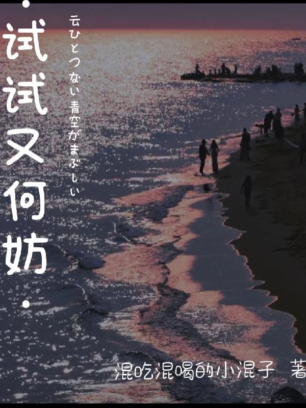 试试又何妨歌曲