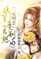 腹黑魔妃倾天下