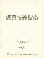 阁臣培养指南 韦人