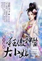 邪王神医狂妃2