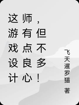 游戏 设计师