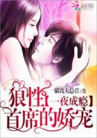 一夜成婚 狼性总裁心尖宠